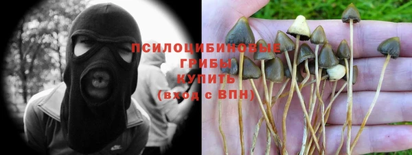 MESCALINE Алзамай