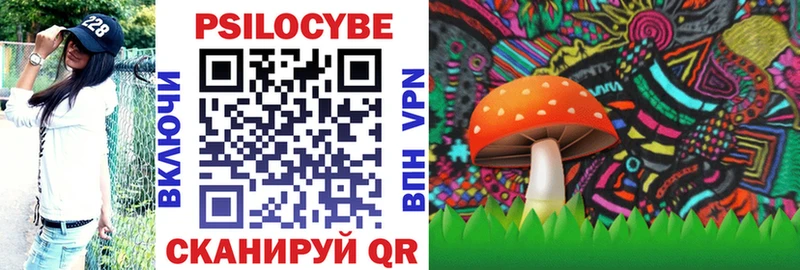 Галлюциногенные грибы Psilocybe  ссылка на мегу маркетплейс  Нижнеудинск  наркота 